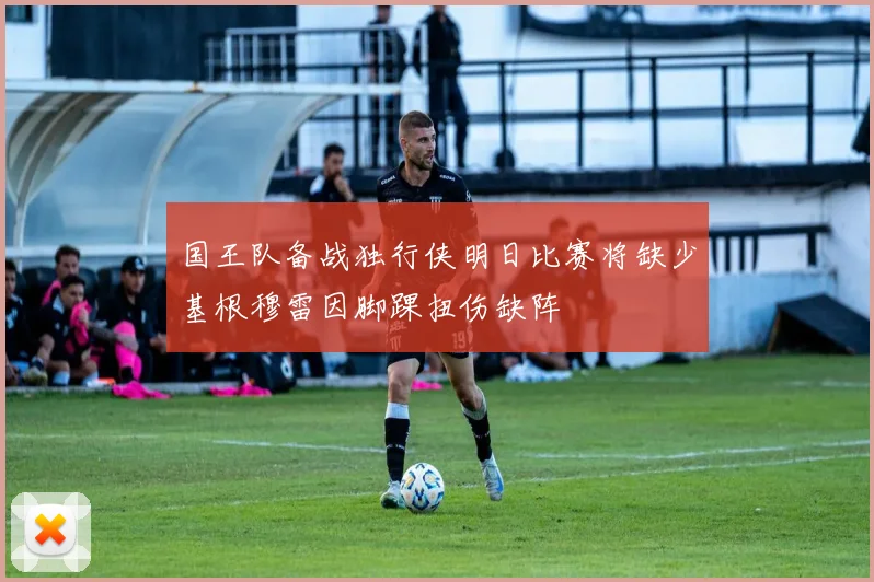 国王队备战独行侠明日比赛将缺少基根穆雷因脚踝扭伤缺阵