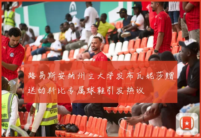 路易斯安纳州立大学发布瓦妮莎赠送的科比专属球鞋引发热议