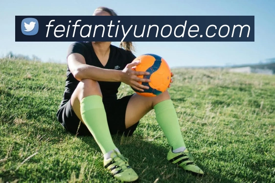 非凡体育平台生态图